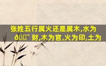 张姓五行属火还是属木,水为 🐯 财,木为官,火为印,土为